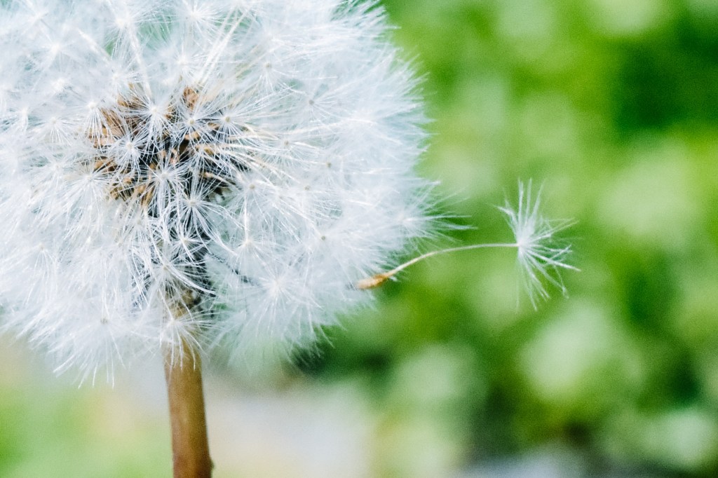 My Simple Spring Reset Ritual for a Peaceful Home and Fresh Start