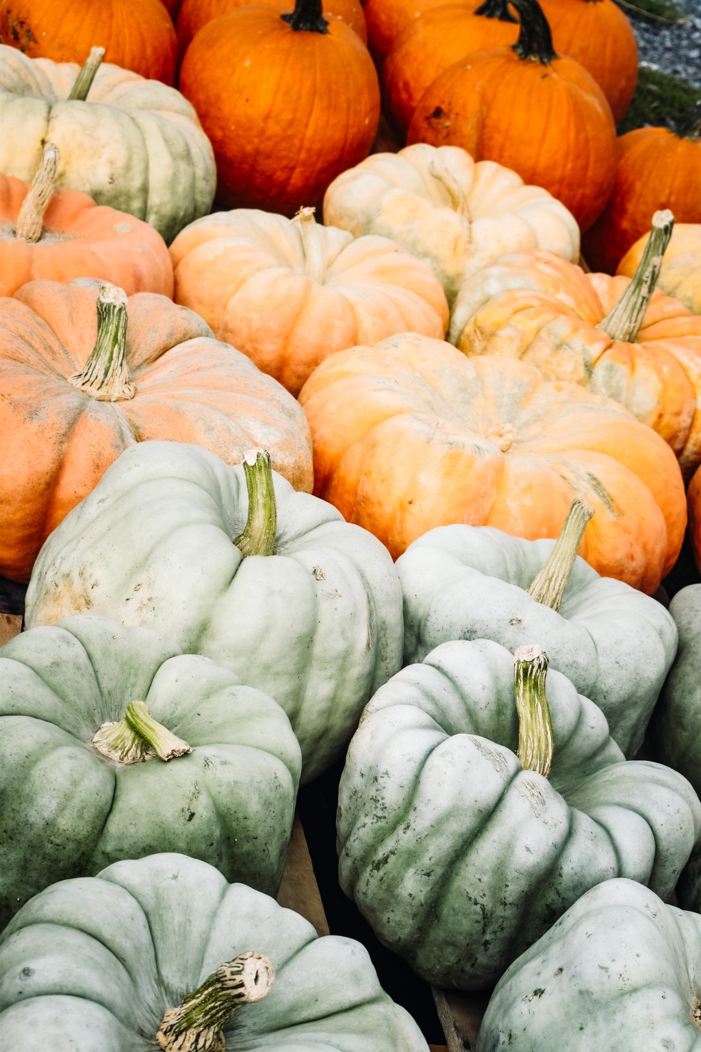 My Favorite Things For&nbsp;Fall