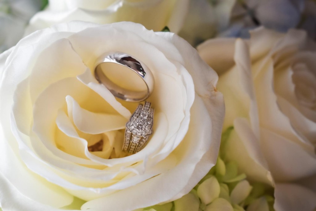 Martinsburg Wedding – The Purple Iris