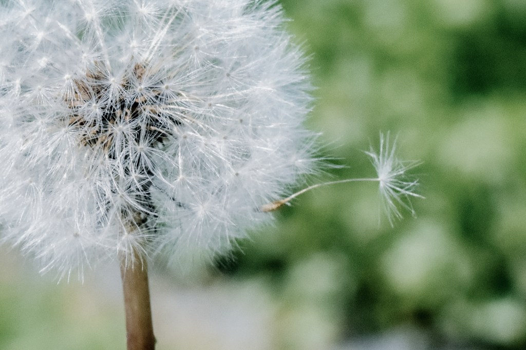 What I’ve Learned About Achievable&nbsp;Dreams