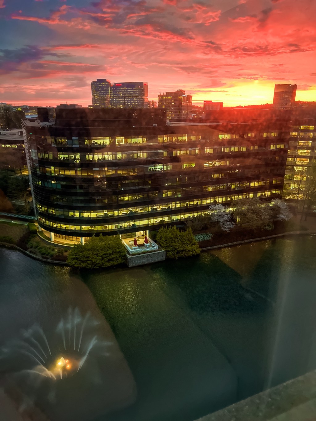 Things I Hadn’t Done Since&nbsp;2020